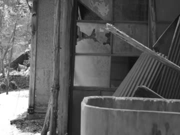 【廃墟】SIRENのモデルになったと言われている廃村【埼玉県】