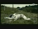 Sunna - Power Struggle