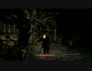 【Skyrim】ドーンガードを実況プレイ！【初見】part25