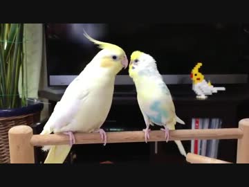 性別と種族を超えた愛 その3