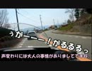 【 ゆっくり 】 春のH-Dツーリング in 長野県 【 中編 】