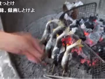 20130604 暗黒放送Ｑ　長瀞でハルヒの家に行く放送 4/5