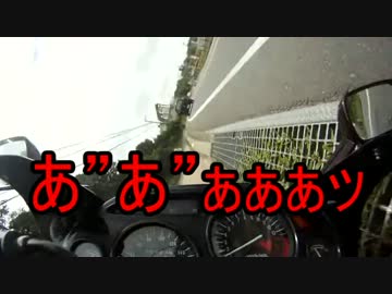 はじめての立ちゴケ