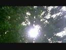 華麗的挑戦 05-3