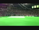 IMG_6082[1].MOV