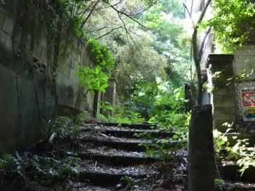 【廃墟】横須賀廃住宅街【神奈川】