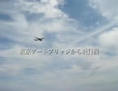 東京ゲートブリッジから飛行機