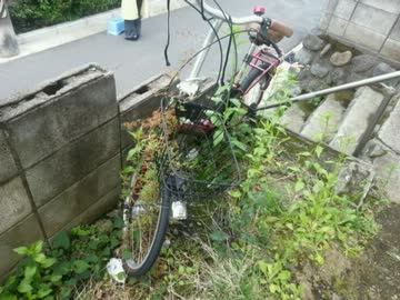 【悪魔のツイッター】世界一愛された雑草のお話【最終回】