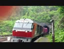 小幌駅赤熊通過2013