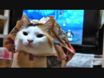 【MH2ドス】 おばあちゃんハンターの報告