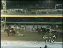 2012年12月9日帯広競馬11R 極東警備保障杯師走特別(OP) インフィニティー