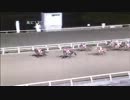2012年11月18日高知競馬10R 梼原雲の上のまち特別(A-1組) ノーブルマン