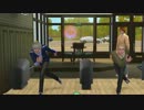 【APヘタリア in TheSims3】４人＋４匹暮らしのまとめ２４