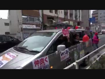 3.31 特定アジア粉砕新大久保排害カーニバル！！【しばき隊】