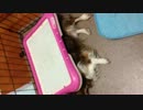 くつろぎ和丸