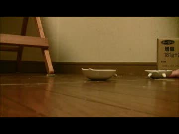 ちゃとらとはちわれ　2013年　うすちゃいろくん