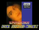 【哀愁ユーロの】80分まるごとNORMA SHEFFIELD Non-Stop Mix【女王】