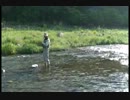 新緑の箒川（ほうきがわ）！　フライフィッシング