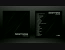 ｄａｔａｍｎｅｓｉａ－ｒｅｆｏｒｍａｔ （グリッチ、でんしおんがく）