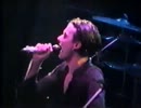 Suede -To the Birds