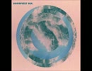 Roosevelt - Soleil