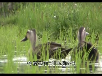 関西で観光01.mp4
