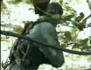 Metal Gear Solid - Philanthropy