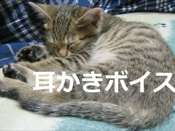 【耳かきボイス】初めてやってみた【あるどーる】