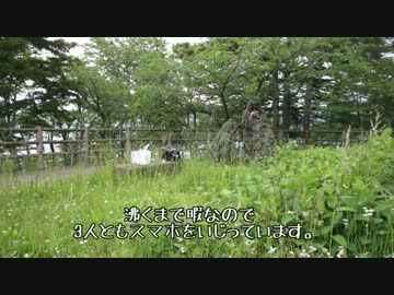 ラーツーに行ってきました。