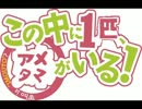 アメタマと行く！！ Vol.3 【ランダムフリー】【健全】