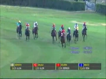 【世界の競馬場から】2013年フリオスベルカソーブロウネ賞　ソラリア