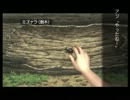 【実況】アジ もうすぐ夏だから！「ぼくのなつやすみ３ ９日目前半」