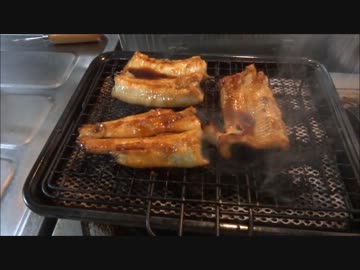 アウトドアをやろう！「ウナギ釣って食べるぞ！」