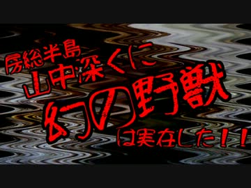 千葉の奥地で幻の野獣を追え！