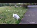 PV 『 機嫌なおしてAngel 』 8ns（8Fナースステーション）