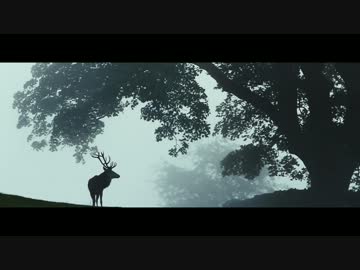 Mumford & Sons - Lover of the Light