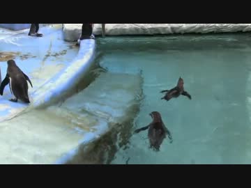 【おでかけリンちゃん】高岡古城公園【富山】