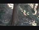 モッサン登山動画[天覚山　大高山]後編