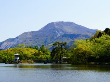 春の伊吹山 お花散策