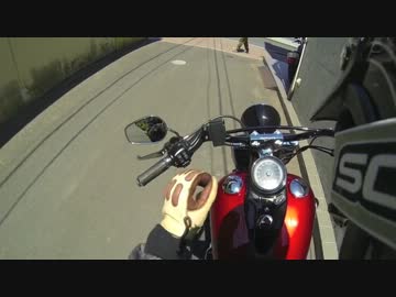 TCｿﾌﾃｲﾙと散歩 函館市内は道南でしょ? ねこぐるみﾓﾌﾓﾌ1号