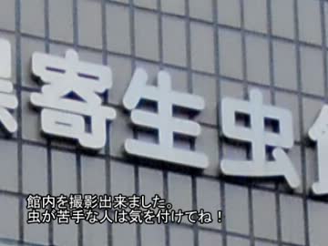 東京23区サイクリング09品川区&amp;10目黒区