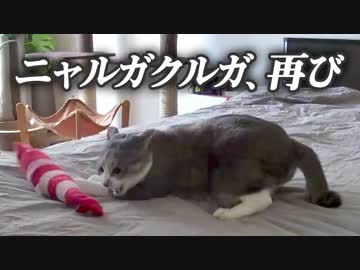 【モアクリ】 ニャルガ、再び