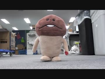 「トコトコなめこぬいぐるみ」で遊んでみた