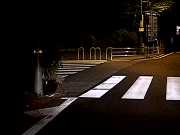 【車載】スカイウェイブ250タイプSで六甲山をナイトラン其2【ビグスク】