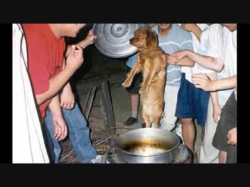 支那 歴史を誇る「犬肉祭り」が中止　韓国 犬を食べるのはウリが起源だ