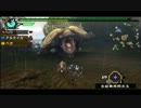 【MHP3】今日からMHP3 実況プレイ65-1(ドボルベルク流域)