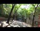 めざめのとき