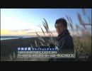 WRC世界ラリー選手権2013 第06戦 アクロポリス 1/4