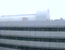 ゆき