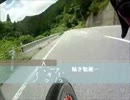 【ロードバイク】2013.6.16　鞍掛峠【ダウンヒル】